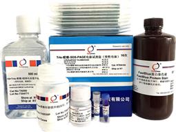 Tris-醋酸-SDS-PAGE電泳試劑盒（變性電泳，含預(yù)制膠）