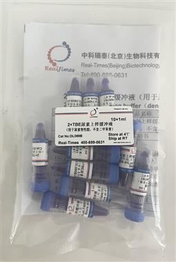 2×TBE尿素上樣緩沖液（用于尿素變性膠，不含二甲苯菁）